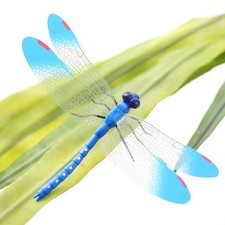  20 Pcs Small Dragonfly Wall