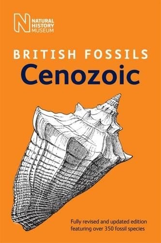 British cenozoic fossils - british,