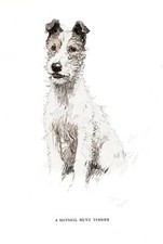 Antique Fox Hunt Terrier Print