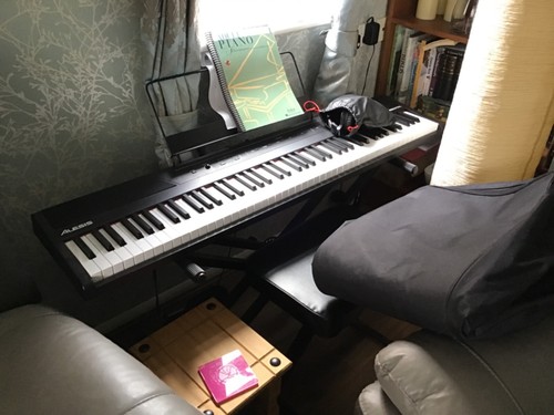 Alesis key board - board, +stand