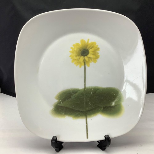 Vintage china plate plates - vintage,