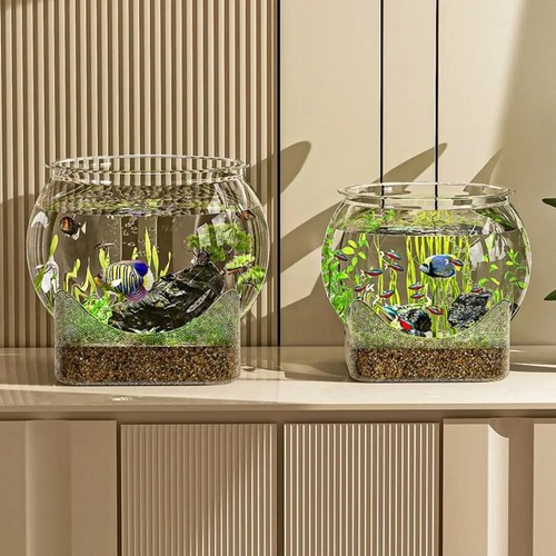 Transparent round fish bowl - transparent,