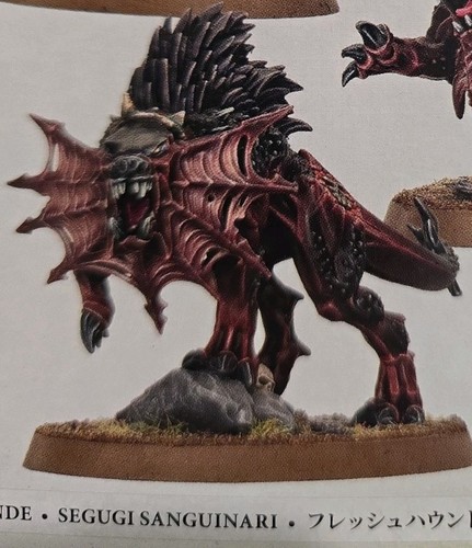 Flesh hounds warhammer - flesh,