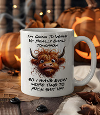 Funny Highland Cow Mug |