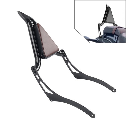 Passenger backrest sissy bar - backrest,