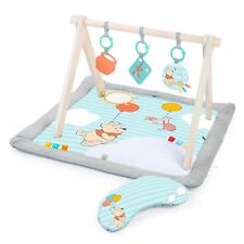 Bright Starts Disney Winnie