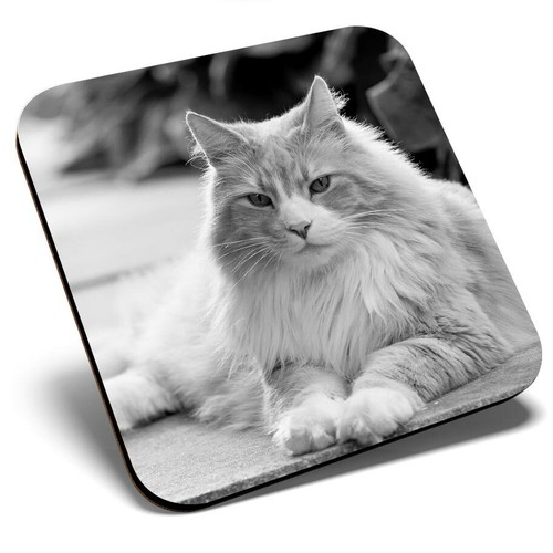 Square single coaster - square,
