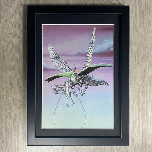 Framed elric una the end - framed, at