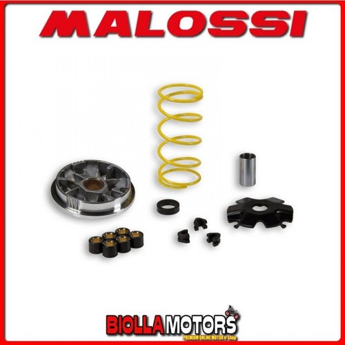 517128 variator malossi - 517128,
