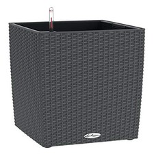 Lechuza Self Watering Plant