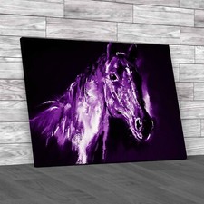 Horse Animal Painting