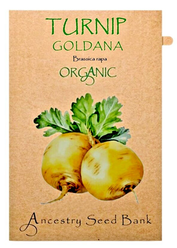 Organic turnip goldana - turnip,