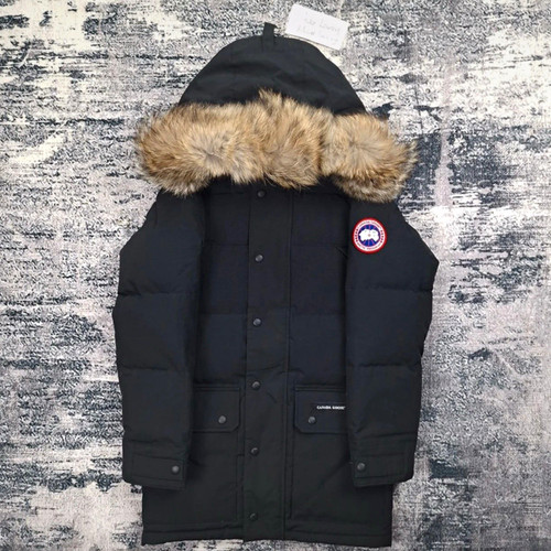 Canada goose emory - goose,