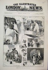 Original Old Antique Print