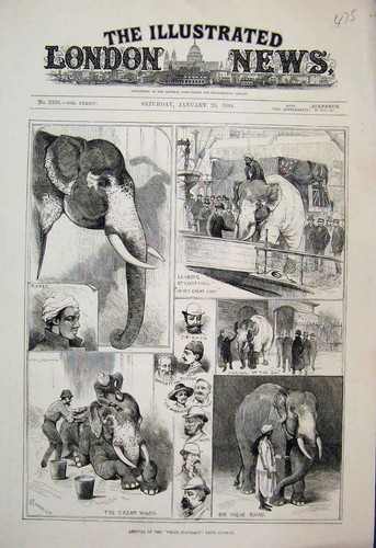 Original old antique print - old,