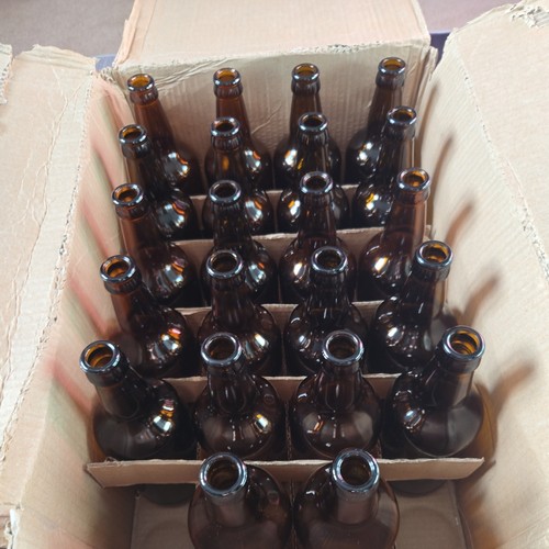 Glass beer bottles home brew - bottles,