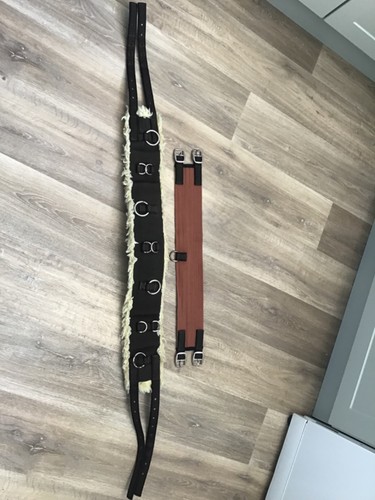 Lunge roller with padding and - roller,