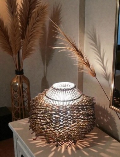Unusual birds nest twisted - unusual,