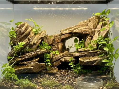 Background for - (quarry),