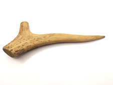 Animal horn antler - animal, cut