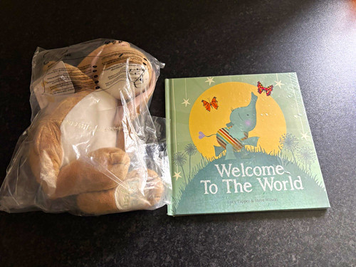 Disney winnie the - winnie, small