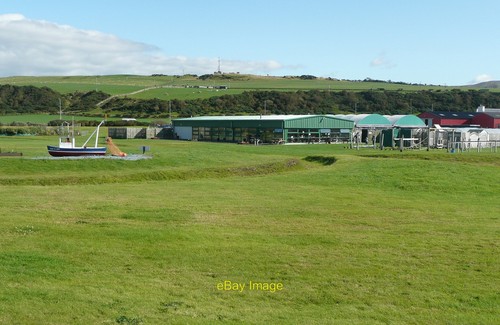 Photo 12x8 garden centre - garden,