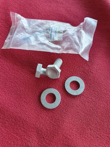 Campagnolo crank bolts - bolts, record