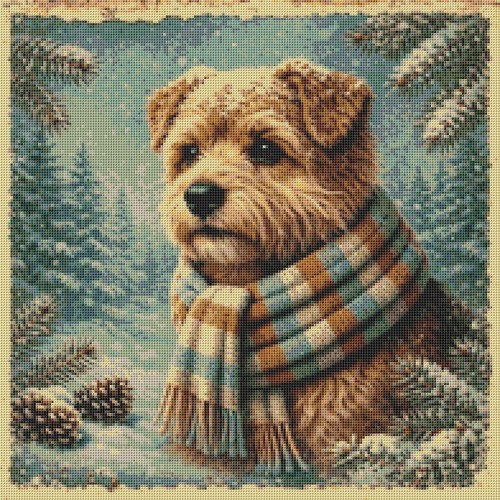 Norfolk terrier puppy - terrier, dog