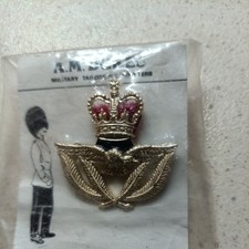 British RAF Warrant Officer
