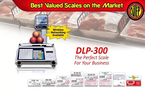 Visiontech scale dlp 300 - scale, dlp-300
