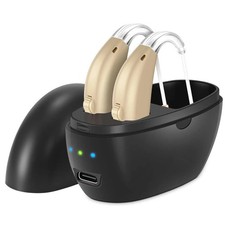 1 Pair Of Digital Hearing Aid