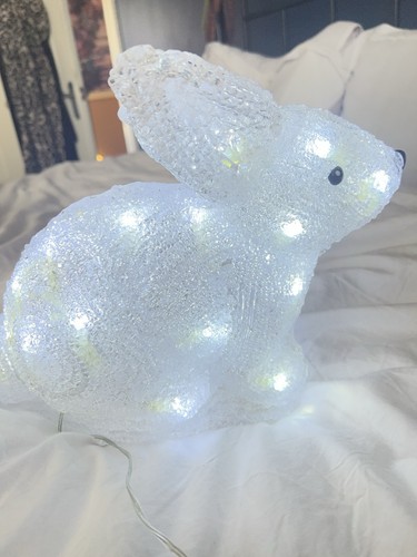 Acyrlic rabbit lamp long - rabbit, lamp/long