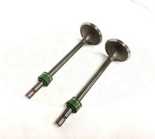 Inlet exhaust valves with - inlet, &