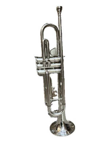Vintage 1950 blessing artist - vintage,
