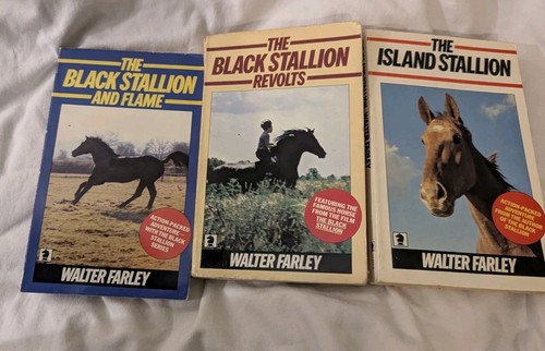 The black stallion walter - black,