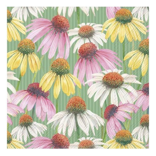 Pastel garden cream - cream, ihr