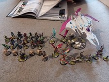 Games Workshop Warhammer 40k Drukhari Army Painted