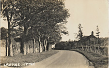 Lympne, Hythe. Avenue of Trees.