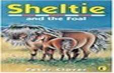 Sheltie 22: Sheltie and the