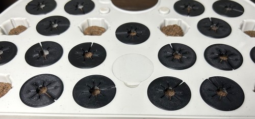 Flexible aerogarden seed - flexible,