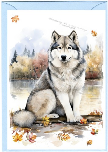 Alaskan malamute dog greetings - alaskan,