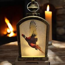 Pheasant vintage storm