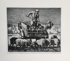 Hard Winter by C F Tunnicliffe - Antique Print 1928