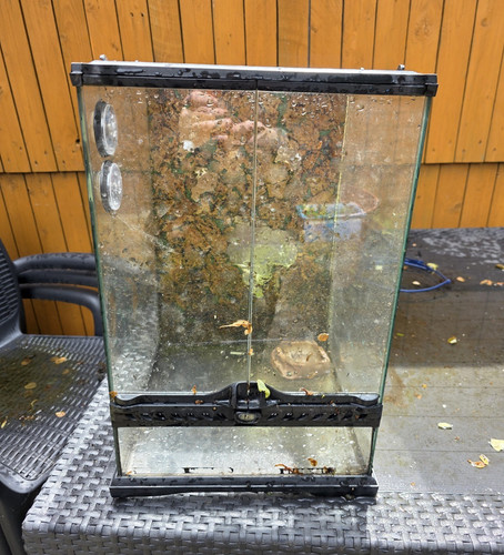 Exo terra terrarium enclosure - exo,