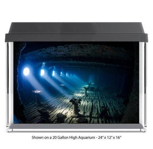 Sunken ship aquarium - sunken, glass
