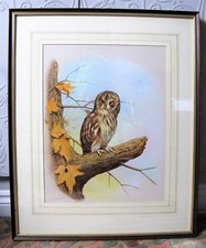 Owl painting / picture / drawing. Hand painted large framed original. Vintage.