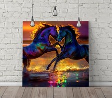 COLOURFUL HORSES IN WATER