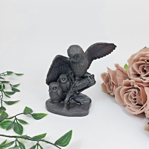Heredities and owl owlets - "owl, owlets"