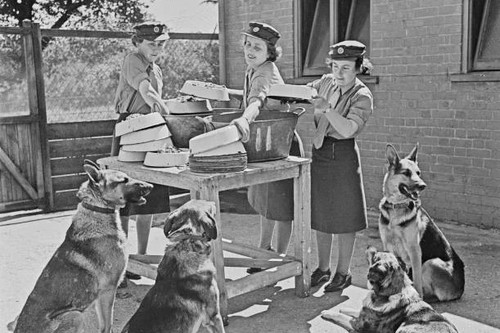 Three uniformed female