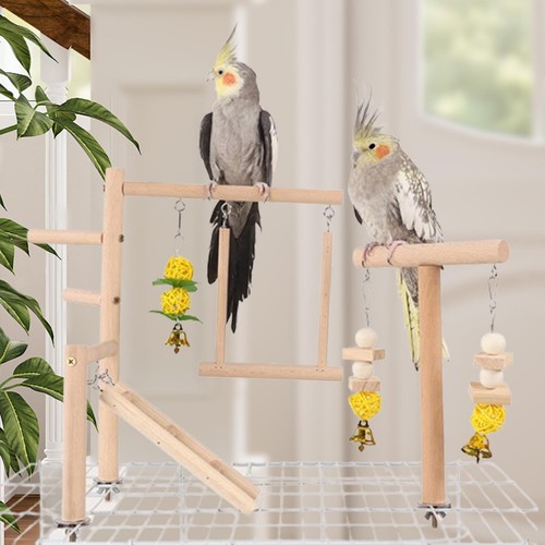 Parrot bird playground - parrot,